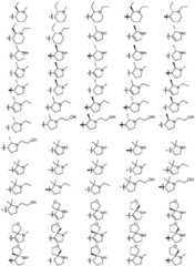 Figure GDA0003379855500001281