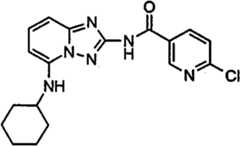 Figure GPA00001035513100663