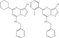 Figure US08580782-20131112-C00078