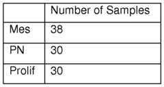 Figure imgf000035_0001
