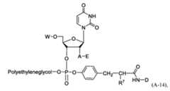 Figure imgf000068_0003