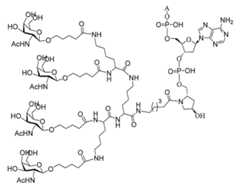 Figure 2023012548000255