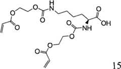 Figure G2007800494194D00232