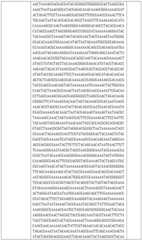 Figure BDA0002508391090001441