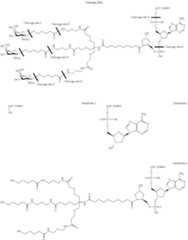 Figure US09181550-20151110-C00255