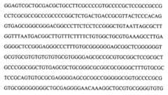 Figure 104109152-A0202-12-0095-32