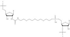 Figure US12338436-20250624-C00509