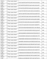 Figure imgf000184_0001