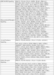 Figure imgf000567_0001