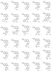 Figure FDA0003048026930000061