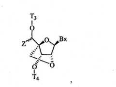 Figure FSB00001065633500041