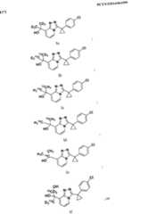 Figure imgf000009_0001