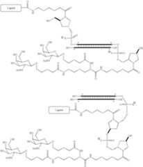 Figure US08106022-20120131-C00079