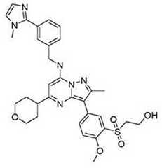 Figure 16864DEST_PATH_IMAGE197