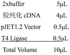 Figure BDA0002187396900000042