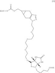 Figure US12025613-20240702-C00058