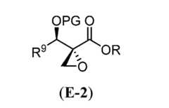 Figure imgf000300_0001