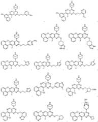 Figure imgf000030_0001