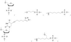 Figure PCTCN2020100030-appb-100002