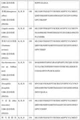 Figure BDA0004113681710000611