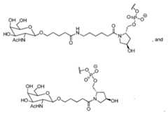 Figure imgf000077_0001
