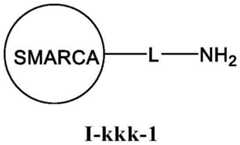 Figure BDA0003783300830001691