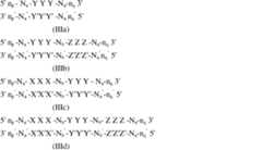 Figure 0007028764000034