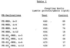 Figure imgf000039_0001