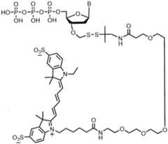 Figure imgf000250_0002