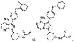 Figure FDA0003277906730000031