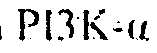 Figure imgf000120_0001
