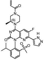 Figure BDA0002861043520001081