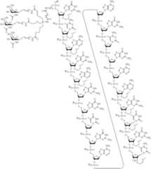 Figure US10683499-20200616-C00108