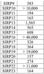 Figure BDA0003148067940000611