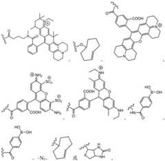 Figure BDA0003670511740001861