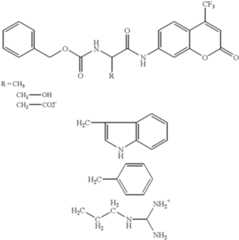 Figure US06280926-20010828-C00003