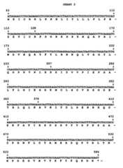 Figure imgf000027_0001