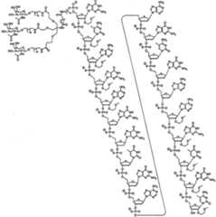 Figure 2023113843000879