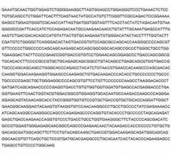 Figure 62647DEST_PATH_IMAGE050