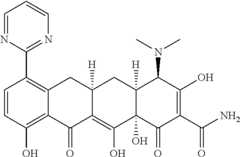 Figure US08088820-20120103-C00511
