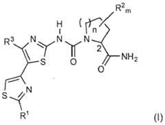 Figure imgf000004_0001