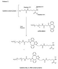 Figure imgf000075_0001