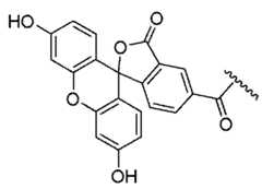 Figure 2024156841000224