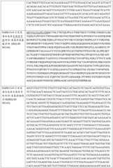 Figure BDA0003154168970000471