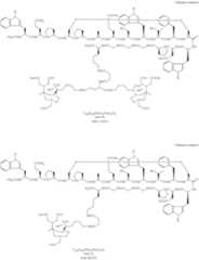 Figure US08278274-20121002-C00041