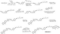 Figure GDA0003638934920005971