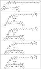 Figure BDA0003285627320000741