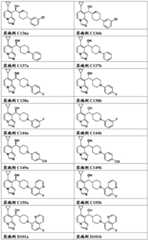 Figure FDA0003289571880000161