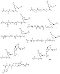 Figure imgf000483_0001