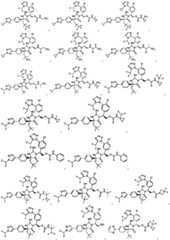 Figure FDA0002446516740000231